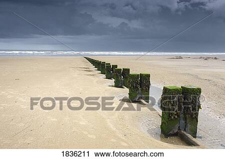 Stock Image - Beach, East Riding of Yorkshire, England. Fotosearch