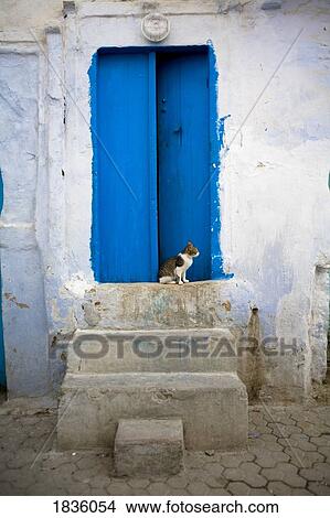 Blue door, Kairouan, Tunisia, Africa View Large Photo Image Picture - Blue door, Kairouan, Tunisia, Africa. Fotosearch