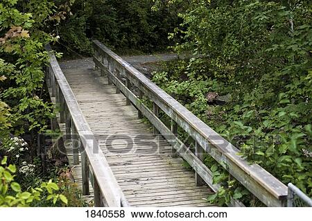 Boardwalk, Muskoka, Ontario, Canada View Large Photo Image Stock Photo - Boardwalk, Muskoka, Ontario, Canada. Fotosearch