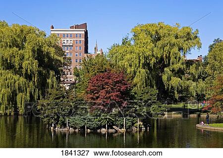 Stock Photo - Boston Public Garden, Boston, Massachusetts, USA . Fotosearch