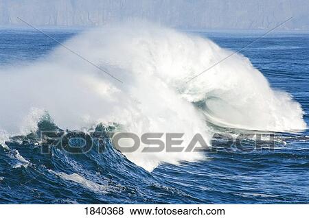Breaking wave, Cape Kiwanda, Pacific City, Oregon, USA View Large Photo Image Stock Photo - Breaking wave, Cape Kiwanda, Pacific City, Oregon, USA. Fotosearch