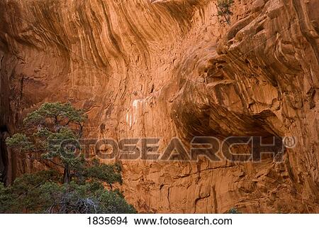 Canyon wall, Arches National Park, Utah, USA View Large Photo Image Picture - Canyon wall, Arches National Park, Utah, USA . Fotosearch