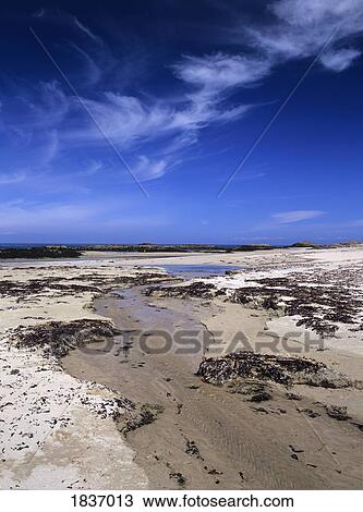 Cliad Bay, Island of Coll, Inner Hebrides, Scotland View Large Photo Image Stock Image - Cliad Bay, Island of Coll, Inner Hebrides, Scotland . Fotosearch