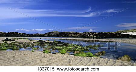 Cliad beach, Island of Coll, Scotland, Europe View Large Photo Image Stock Photography - Cliad beach, Island of Coll, Scotland, Europe. Fotosearch