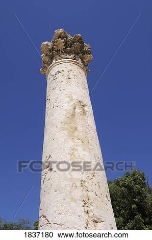 Column, Beit She'an Arena, Israel View Large Photo Image Stock Image - Column, Beit She'an Arena, Israel . Fotosearch