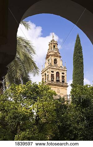 Stock Photo - Cordoba, Cordoba Province, Spain; Torre del Alminar of the Great Mosque. Fotosearch