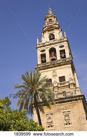 Stock Photo - Cordoba, Cordoba Province, Spain; Torre del Alminar of the Great Mosque. Fotosearch