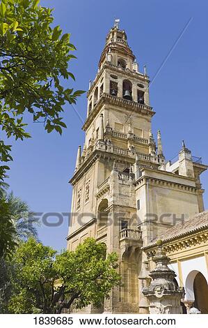 Cordoba, Cordoba Province, Spain; Torre del Alminar of The Great Mosque View Large Photo Image Stock Photography - Cordoba, Cordoba Province, Spain; Torre del Alminar of The Great Mosque. Fotosearch