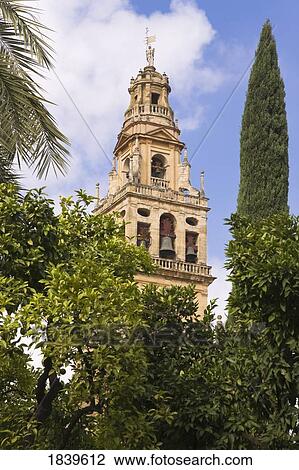 Stock Image - Cordoba Province, Spain; Torre del Alminar of The Great Mosque. Fotosearch