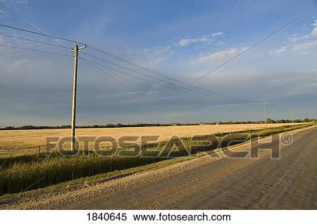 Country road, Manitoba, Canada View Large Photo Image Stock Photography - Country road, Manitoba, Canada. Fotosearch