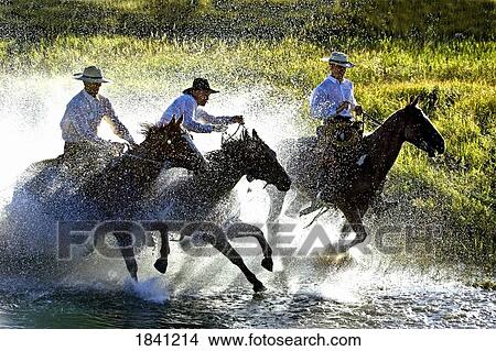 Cowboys riding horses through water View Large Photo Image Picture - Cowboys riding horses through water. Fotosearch