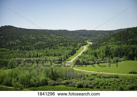 Cypress Hills, Alberta, Canada: Country road through rolling hills View Large Photo Image Stock Photograph - Cypress Hills, Alberta, Canada: Country road through rolling hills . Fotosearch