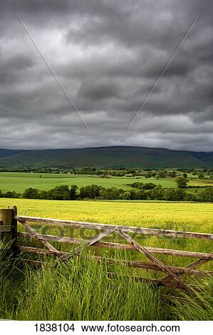 Picture - Dark clouds over fields, England. Fotosearch
