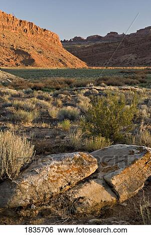 Stock Photograph - Desert, Moab, Utah, USA. Fotosearch