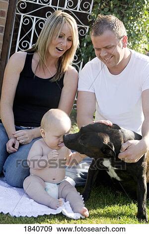 Stock Photo - Dog licking a baby boy. Fotosearch