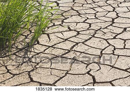 Dried river bed during drought View Large Photo Image Stock Photo - Dried river bed during drought . Fotosearch