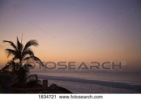 Early morning, Avenue Del Mar, Mazatlan, Sinaloa State, Mexico View Large Photo Image Stock Image - Early morning, Avenue Del Mar, Mazatlan, Sinaloa State, Mexico . Fotosearch