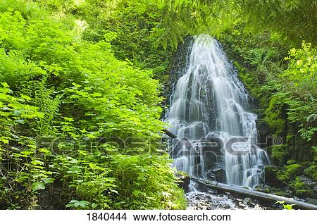 Picture - Fairy Falls, Columbia River Gorge, Oregon, USA . Fotosearch