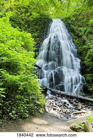 Stock Image - Fairy Falls, Columbia River Gorge, Oregon, USA . Fotosearch