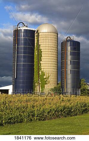 Stock Photograph - Farm near Lyons, Greater Rochester area, New York State, USA . Fotosearch
