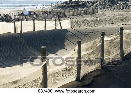 Stock Image - Fence posts on sandy hills. Fotosearch