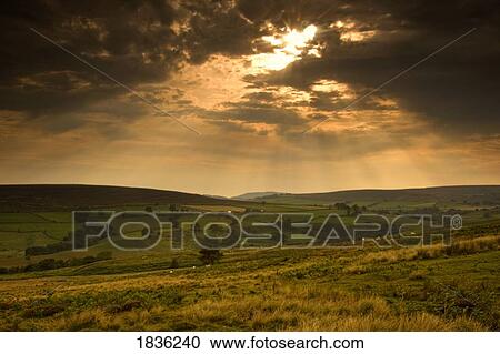 Fields under a cloudy sky, North Yorkshire, England, Europe View Large Photo Image Stock Image - Fields under a cloudy sky, North Yorkshire, England, Europe. Fotosearch