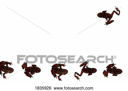Stock Photograph - Fire belly frog silhouettes. Fotosearch
