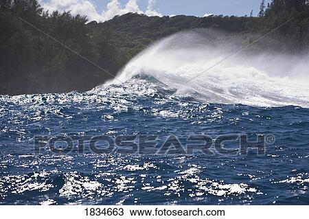 Stock Image - Giant wave breaks near "Jaws", Maui North shore, Hawaii, USA . Fotosearch