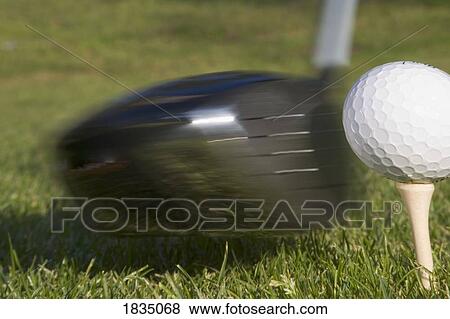 Golf ball on tee hit by driver View Large Photo Image Stock Photo - Golf ball on tee hit by driver. Fotosearch
