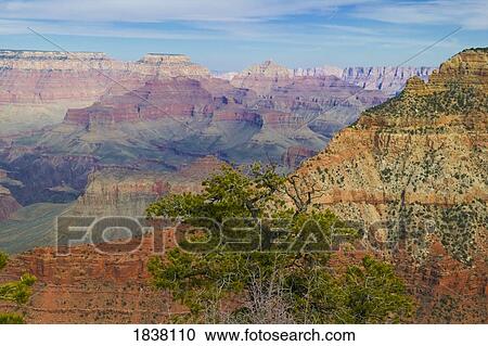 Grand Canyon, Arizona, USA View Large Photo Image Stock Image - Grand Canyon, Arizona, USA. Fotosearch