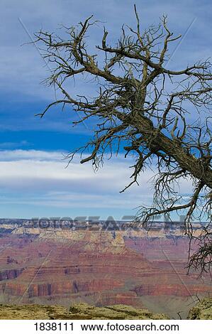 Grand Canyon, Arizona, USA View Large Photo Image Stock Image - Grand Canyon, Arizona, USA. Fotosearch