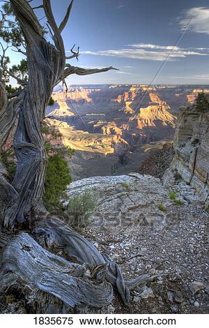 Stock Photography - Grand Canyon, Arizona, USA. Fotosearch
