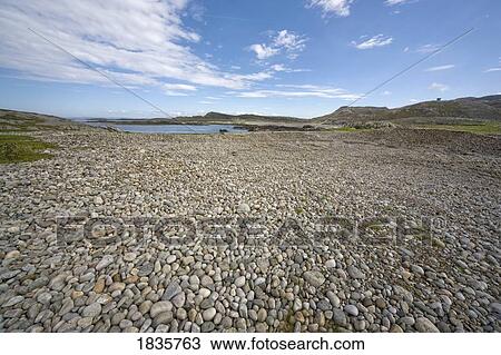 Stock Image - Ground covered with rocks. Fotosearch