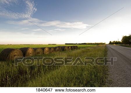 Hay bales View Large Photo Image Stock Photo - Hay bales. Fotosearch