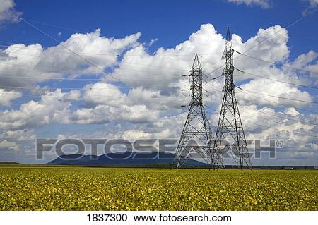 Hydro electric towers over a soya bean field View Large Photo Image Stock Image - Hydro electric towers over a soya bean field. Fotosearch
