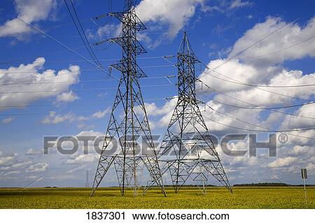 Stock Image - Hydro electric towers over a soya bean field. Fotosearch