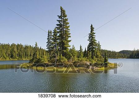 Stock Photo - Island on Battleship Lake, Campbell River, British Columbia, Canada . Fotosearch