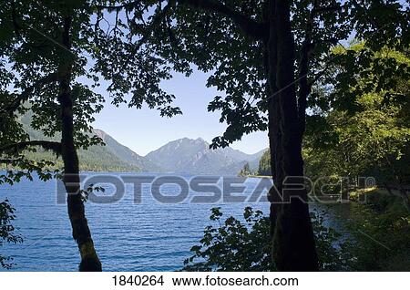 Lake Crescent, Olympic National Park, Washington, USA View Large Photo Image Picture - Lake Crescent, Olympic National Park, Washington, USA . Fotosearch