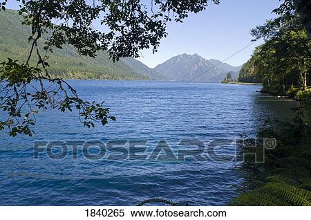 Stock Photography - Lake Crescent, Olympic National Park, Washington, USA . Fotosearch