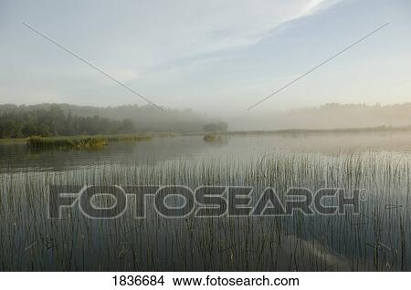 Lake of the Woods, Ontario, Canada View Large Photo Image Picture - Lake of the Woods, Ontario, Canada. Fotosearch