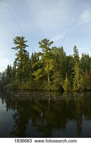 Lake of the Woods, Ontario, Canada View Large Photo Image Stock Image - Lake of the Woods, Ontario, Canada. Fotosearch