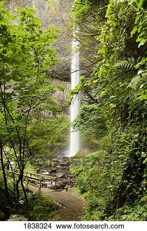 Latourell falls, Columbia River Gorge, Oregon, USA View Large Photo Image Picture - Latourell falls, Columbia River Gorge, Oregon, USA . Fotosearch