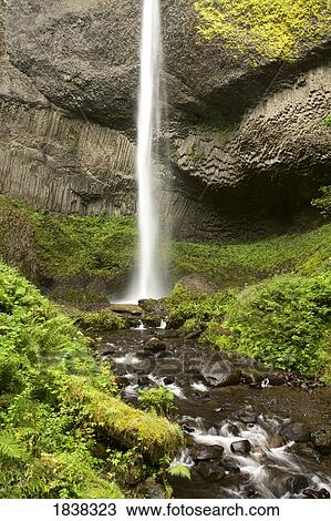 Latourell falls, Columbia River Gorge, Oregon, USA View Large Photo Image Stock Image - Latourell falls, Columbia River Gorge, Oregon, USA . Fotosearch