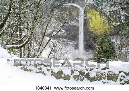 Stock Image - Latourell Falls in winter, Columbia River Gorge, Oregon, USA . Fotosearch