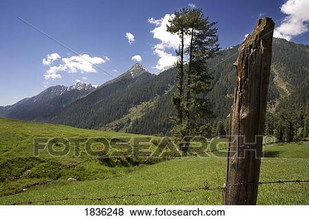 Lidderwat, Kashmir, India View Large Photo Image Stock Photo - Lidderwat, Kashmir, India. Fotosearch