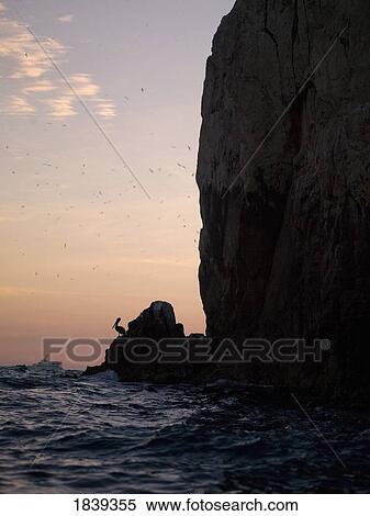 Los Cabos, Mexico View Large Photo Image Stock Photography - Los Cabos, Mexico . Fotosearch