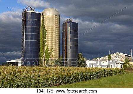 Lyons, Greater Rochester Area, New York State, USA; Farm View Large Photo Image Stock Photography - Lyons, Greater Rochester Area, New York State, USA; Farm . Fotosearch