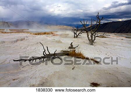 Stock Image - Mammoth Hot Springs, Yellowstone National Park, Montana, USA . Fotosearch