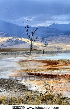 Mammoth Hot Springs, Yellowstone National Park, Montana, USA View Large Photo Image Stock Photo - Mammoth Hot Springs, Yellowstone National Park, Montana, USA . Fotosearch