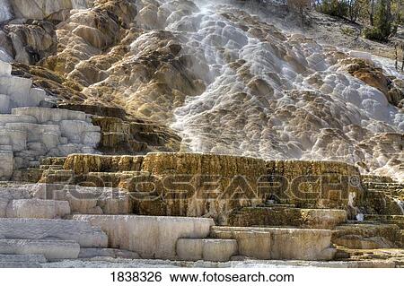 Mammoth Hot Springs, Yellowstone National Park, Montana, USA View Large Photo Image Stock Photograph - Mammoth Hot Springs, Yellowstone National Park, Montana, USA . Fotosearch